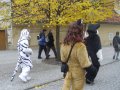 IMGP3165.JPG